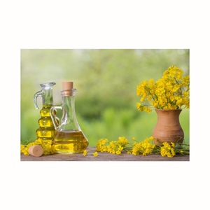 Huile de canola biologique raffinée de qualité supérieure, emballage en vrac hydrogéné d'origine brésilienne pour la cuisine vente en gros - Product Image 6