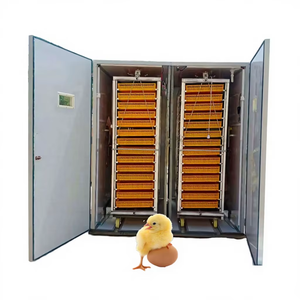 Incubateur d'œufs automatique de grande taille avec une capacité de 2000 œufs à haute précision pour l'éclosion des poulets, en plastique, 220V/380V/110V - Product Image 5