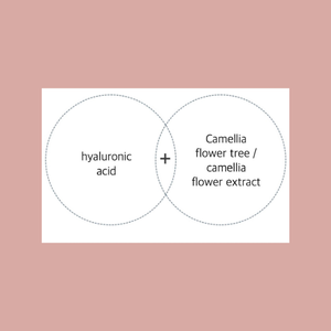 น้ำดอกคามิเลีย แคป-สเตย์ บาลานซิ่ง เอสเซนเชียล สกิน โทนเนอร์ (เพื่อผิวขาวกระจ่างใสและลดเลือนริ้วรอย) (เครื่องสำอางฟังก์ชันแนลจากเกาหลี) - Product Image 3