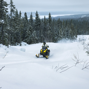 Moto de Nieve Ski-Doo Backcountry Adrenalinee 850 E-TEC ES Cobra 2024 - Product Image 4
