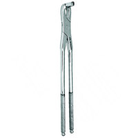 Forceps équestres en acier inoxydable réutilisables de qualité supérieure pour les soins dentaires des chevaux, extraction des fragments dentaires, instruments vétérinaires