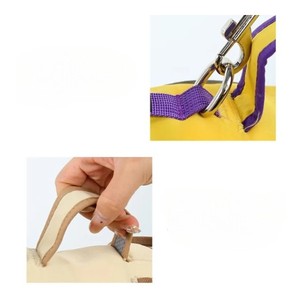 Adjustable Nylon Dog Harness with Buckle Closure Simple Style for Dogs Beige Color Breathable Design - Product Image 3