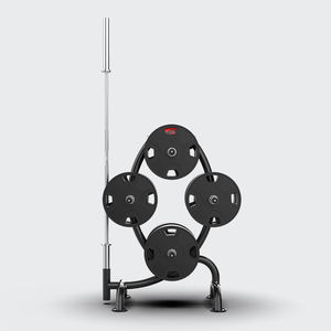 QLI Commercial Gym Qualité Métal Poids Plaque De Stockage Rack Home Gym Équipement D'entraînement Prêt pour L'expédition - Product Image 4