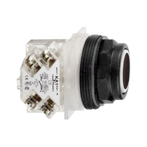 Interruttori a pulsante SCHNEIDER ELECTRIC 9001SKR1BH13 600VAC 10AMP 30MM SK con opzioni 600VAC 10AMP 30MM SK+OPZIONI - Product Image 1