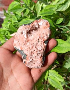Apophyllite Geode แร่ Apophyllite ขนาดเล็กสีชมพูธรรมชาติชิ้นสำหรับตกแต่ง - Product Image 3