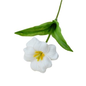 Fleurs artificielles Tulipes ouvertes Décoration de <span class=keywords><strong>mariage</strong></span> Imprimées en 3D Accessoire de photographie de bureau Thème <span class=keywords><strong>mariage</strong></span> Eucalyptus Hortensias - Product Image 5