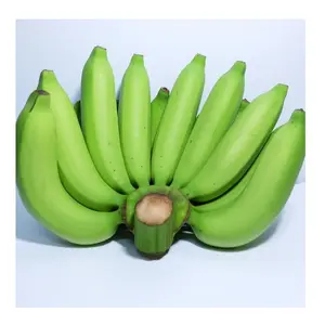 Rivenditore all'ingrosso e fornitore di frutta fresca Hass avocado migliore qualità prezzo di fabbrica migliore comprare alla rinfusa Online