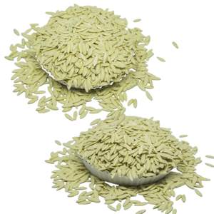 Nouveau produit de haute qualité BCA Value Melon Seed F1, qualité supérieure, meilleure collection de produits d'Indonésie - Product Image 5