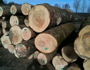 Gỗ sồi đỏ cho cabin đăng nhập bản ghi gỗ sồi đỏ cho cửa ra vào và cửa sổ - Product Image 6