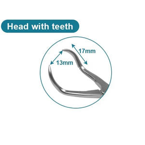 Fórceps ortopédicos de reducción de huesos Punta puntiaguda Instrumento quirúrgico ortopédico Acero inoxidable - Product Image 2