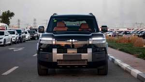 Nuevo BYD Leo Pard Titanium 7 Híbrido con TRANSMISIÓN AUTOMÁTICA, SUV Titanium 7 - Product Image 4