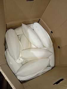 VENTA ENTERA GRAN CANTIDAD DE HUESO SECO DE SEPIA EN MEDICINA TRADICIONAL Y SUMINISTRO DE MINERALES PARA AVES DE VIETNAM - Product Image 3