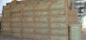 Prix le moins cher pour fibre de noix de coco fibre de noix de coco naturelle/noix de coco brune fibre de coco naturelle pas cher bonne qualité usine - Product Image 3