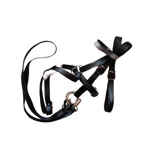 Brida anatómica ecuestre del caballo del fabricante, acolchada suave, muchas opciones de colores, fabricación de Pakistán - Product Image 1