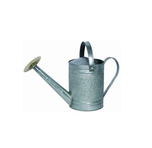 Diseño elegante Accesorios de jardín regadera botella de agua lata de agua de metal en la decoración del jardín - Product Image 3