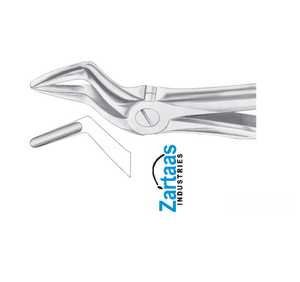 คีมสกัดรากด้านบนทำจากสแตนเลสผู้ผลิตและส่งออก - Product Image 4