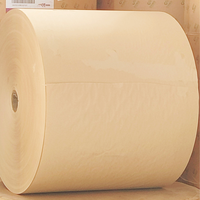 Papier kraft brun vierge en pâte de bois, imprimé en héliogravure, rouleaux sur mesure, emballage pour vêtements et chaussures, biodégradable, directement de l'usine