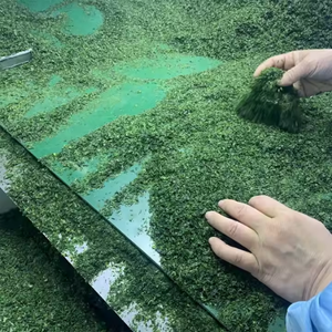 สาหร่ายอบแห้งผงสาหร่ายสีเขียวอบแห้งในถุงผลิตภัณฑ์สีเขียวแปรรูปหลากหลาย - Product Image 4