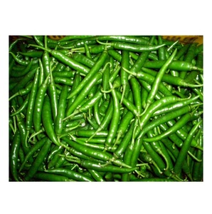 Chile Verde Fresco Crudo G4 20kg PT Origen en Venta - Product Image 5