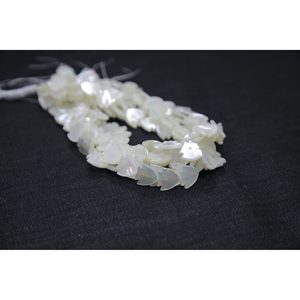 Perles de coquillages, d'os et de corail - Product Image 3