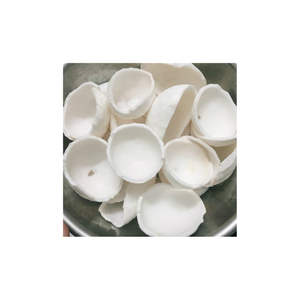 Tranches de noix de coco congelées fabriquées à partir de noix de coco mûres traitées avec la technologie IQF moderne conservant le goût et la nutrition idéale - Product Image 2