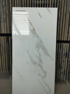 Azulejos de porcelana PGVT de calidad de exportación de 60x120 cm para proyectos de construcción internacionales, azulejos de porcelana de primera calidad de 600x1200 mm - Product Image 4