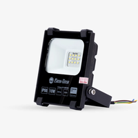 Projecteur LED pour un éclairage extérieur puissant avec gradation intelligente et conception étanche IP66 IK08