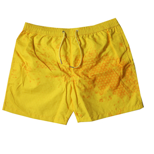 Shorts de bain décontractés pour hommes, vêtements de bain d'été, séchage rapide, imperméables, respirants, mode, plongée, surf - Product Image 5