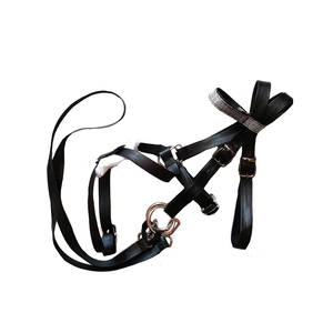 Brida de caballo de cuero Ecuestre para deportes al aire libre, muestra gratis, cabestro de caballo de cuero de alta calidad totalmente personalizado - Product Image 2