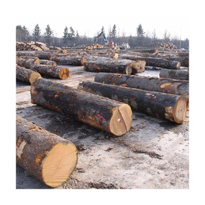 Bois de chauffage en padouk solide disponible pour le commerce de gros et l'approvisionnement en combustible en vrac - Product Image 4