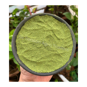 Poudre de Moringa Biologique de Qualité Supérieure, Poudre de Feuilles, Supplément Herbal du Bangladesh, Export en Gros, Fournisseur de Confiance, Distributeur - Product Image 3