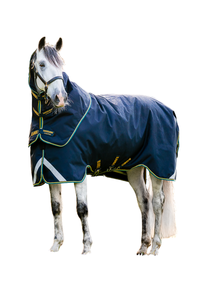 待售高领道岔马毯600D 1200D 1680D冬季马毯紫色美元15 5'3 5'6 5'6 5'9 6'0 6'3 6'6 6'9 7'0 - Product Image 2