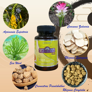 CANTICERPLUS 100% Supplément naturel à base de plantes 12 + ans de confiance Formule basée sur la MTC - Product Image 2