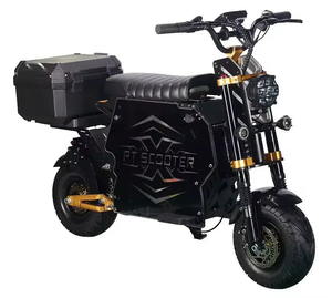 Scooter Eléctrico Industrial GT-M6 para Bricolaje, 300 km de Autonomía, Batería de 60V/72V 100Ah, Todoterreno, Alta Capacidad - Product Image 1