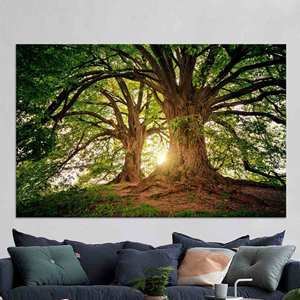 Toile imprimée : Art Forêt au lever du soleil - Décoration photo d'arbre vert, TOILE ENVELOPPÉE - Product Image 1