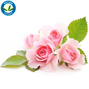 น้ำมันหอมระเหยกลิ่นกุหลาบออร์แกนิกบริสุทธิ์100% จำนวนมากสำหรับการดูแลผิวน้ำมันหอมระเหยและสบู่ที่มีฉลากส่วนตัว - Product Image 6