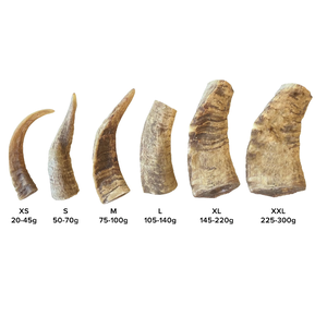 ฮอร์นแพะแท้ทำมือคุณภาพเยี่ยม - Product Image 6