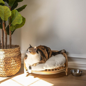Rattan Cat <b>Bed</b> | Natural Rattan Handmade Pet Lounger for Indoor Use - Product Image 1