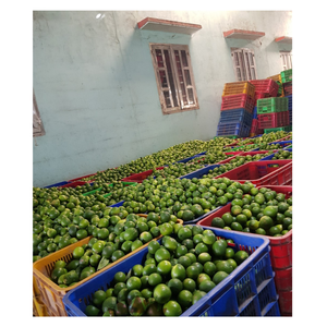 มะนาวสดเหมาะสำหรับเครื่องดื่มที่สดชื่นในฤดูร้อนมะนาวสดที่เต็มไปด้วยวิตามินซีเหมาะสำหรับซอสสลัดและการใช้ในเขตร้อนชื้น99GD - Product Image 5