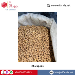 Garbanzos amarillos orgánicos de alta calidad, especias secas saludables a granel, exportación directa desde Egipto - Product Image 5