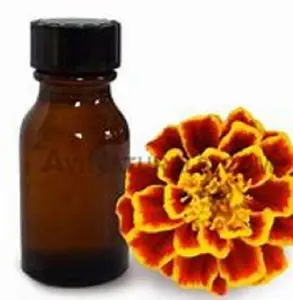 Aceite Tagetes certificado ISO para aromaterapia/Spa/masaje, distribuidor mayorista de aceites esenciales en la India para compradores a granel