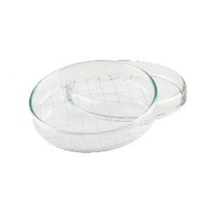 Piastra Petri con coperchio e divisione a rete - 20 x 100 mm Ø - Product Image 1