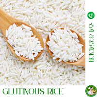 LE SÉNÉGAL IMPORTE DU RIZ DU VIETNAM |   RIZ DU SÉNÉGAL en AFRIQUE : Japonica Jasmine, Riz à grains longs |   OO84825431311