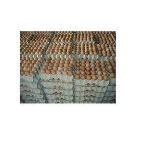 Resh rrganic hicoferta - Product Image 5