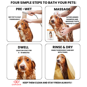 Shampoo au Soufre Anipro pour l'Hygiène Quotidienne des Animaux de Compagnie, Facile à Utiliser, pour Tous les Types de Races, Nettoyage Confortable, Guérit Efficacement les Problèmes de Peau - Product Image 3