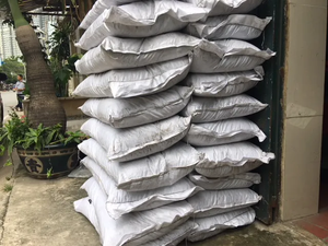 Polvo de concha de ostra premium-Fuente de calcio de alta calidad - Product Image 6