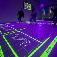 Équipement de jeu interactif pour parc d'attractions projecteur de sol interactif led