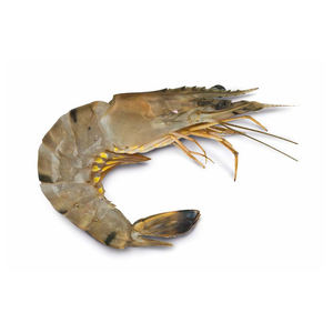Fournisseur de fruits de mer de première qualité, crevettes tigrées noires entières, capture sauvage - Product Image 6