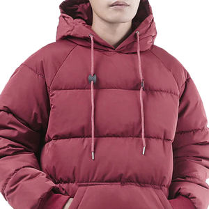 Vente en gros 2024 Manteau d'hiver Respirant Puffy Hoodie Puffer Jacket Zipper Toile résistante à l'eau à la mode Goose O-Neck Casual - Product Image 5