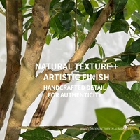 Arbres artificiels réalistes pour la décoration intérieure et extérieure |   Olive, fleur de cerisier, palmier